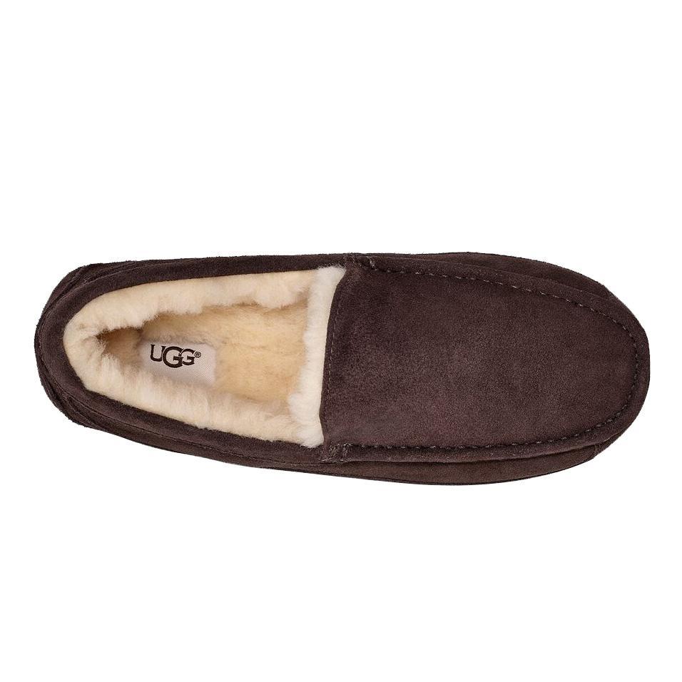 UGG Men's Ascot Espresso Suede - Image 5